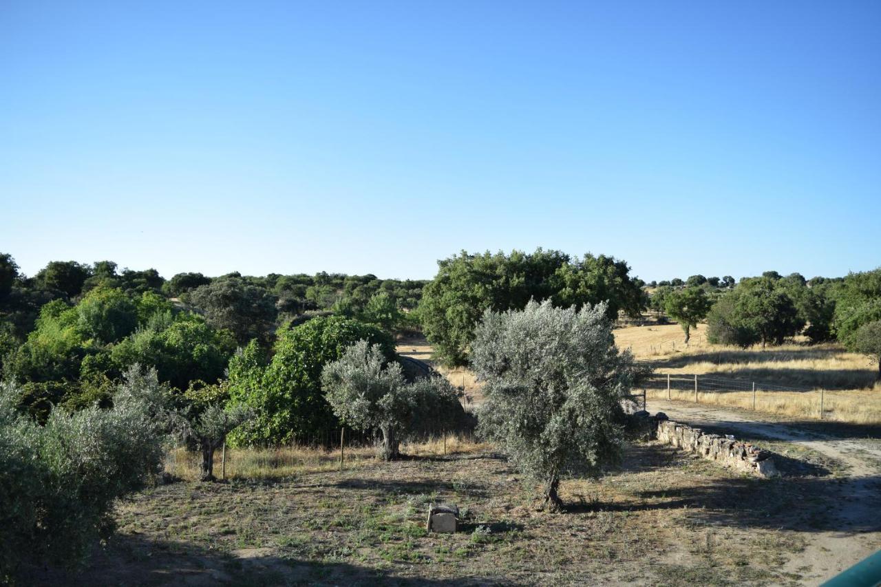 Memsoares Country House Каштелу де Виде Екстериор снимка