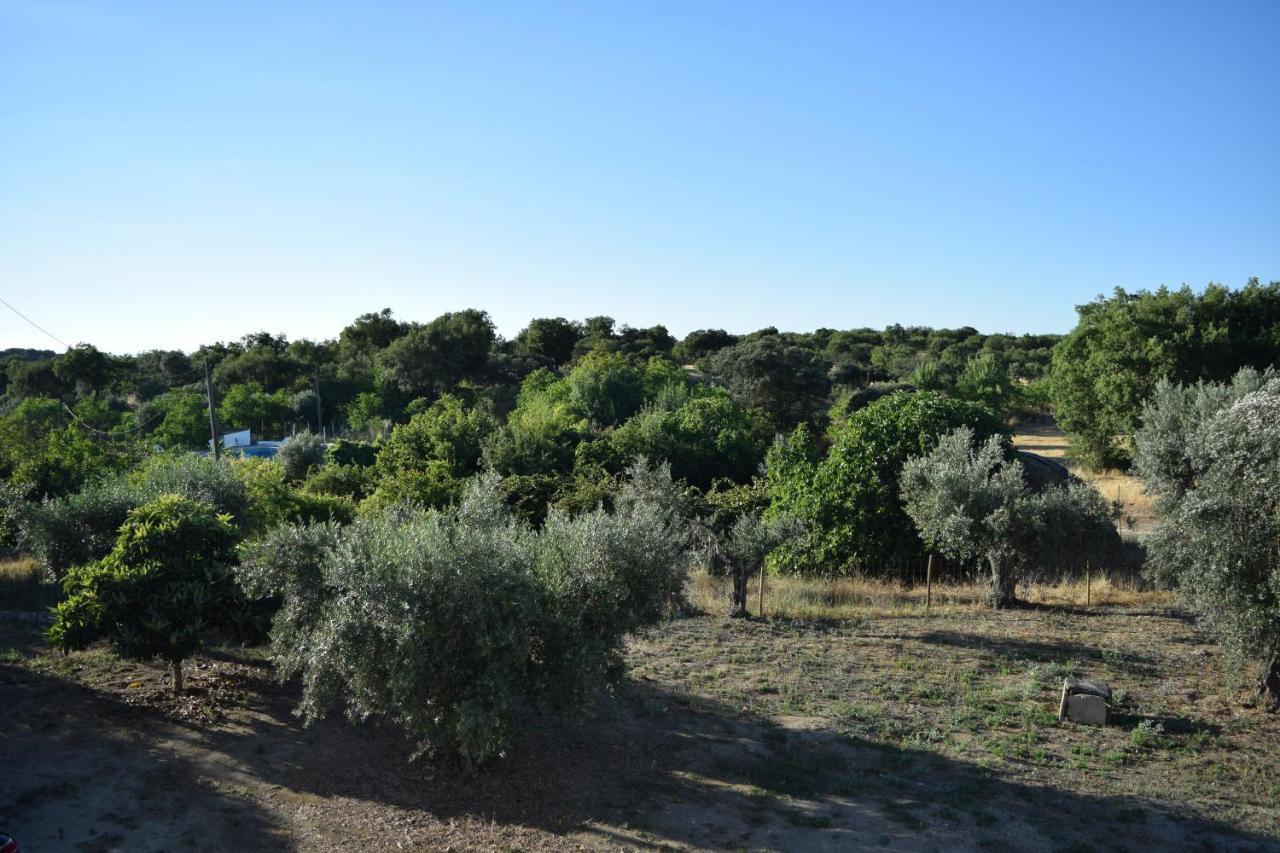 Memsoares Country House Каштелу де Виде Екстериор снимка